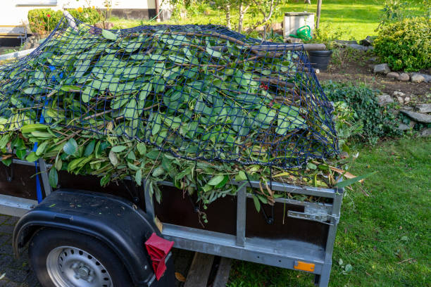 Best Junk Removal for Events  in Palestine, IL